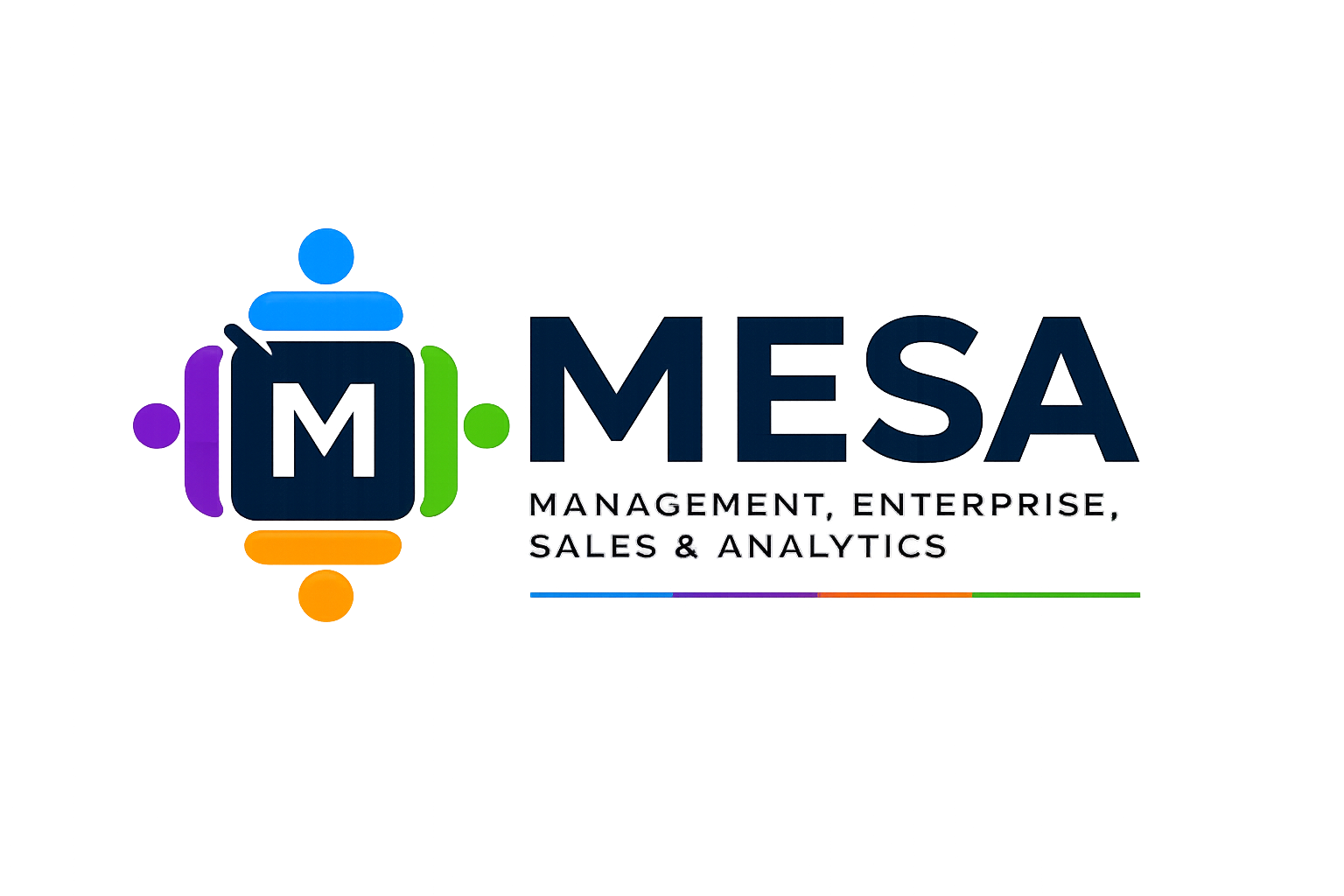 MESA — Management, Enterprise, Sales & Analytics